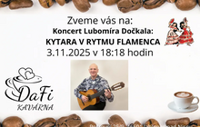 Koncert Lubomíra Dočkala