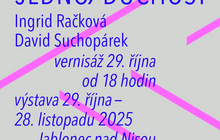 Jedno/duchost - výstava sklářského studia IRDS.